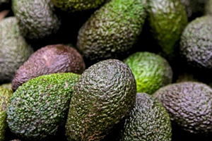 whole avocados