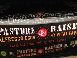 pasture raised eggs